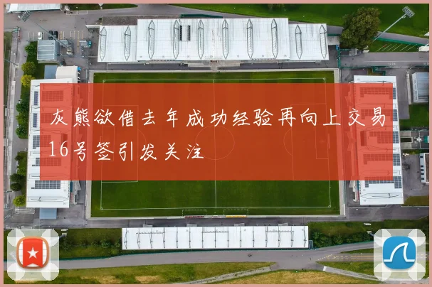 灰熊欲借去年成功经验再向上交易16号签引发关注
